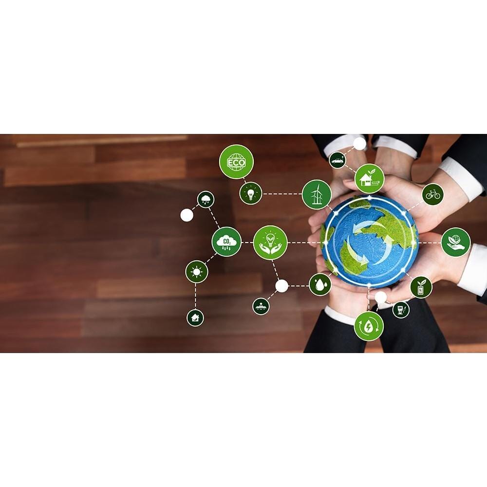 Key Benefits of Sustainable Networking Solutions